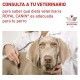 royal-canin-perros-diabetic-dietas-02