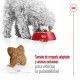royal-canin-perros-mini-adult-croqueta