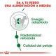 royal-canin-perros-mini-adult