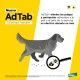 adtab-antiparasitario-externo-comprimido-masticable-informacion-02