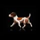 optima-nova-puppy-medium-pollo-y-arroz-perro