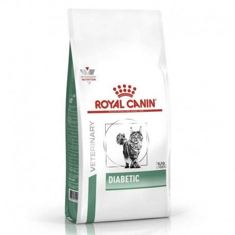 royal-canin-gatos-diabetic-dietas