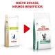 royal-canin-gatos-diabetic-dietas-nuevo-envase