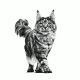 royal-canin-gatos-gastrointestinal-moderate-calorie-sobrepouch-en-salsa-de-85-g-veterinary-03