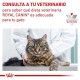 royal-canin-gatos-gastrointestinal-moderate-calorie-sobrepouch-en-salsa-de-85-g-veterinary-05