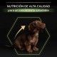 purina-pro-plan-puppy-small-mini-healthy-start-pollo-informacion