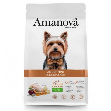amanova-adult-mini-exquisite-pollo-fresco
