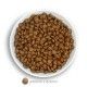 amanova-adult-mini-exquisite-pollo-fresco-03