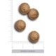 amanova-adult-mini-exquisite-pollo-fresco-04