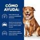 hills-derm-complete-prescription-diet-como-ayuda