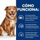 hills-derm-complete-prescription-diet-como-funciona