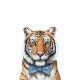 amanova-gato-sterilised-cat-cordero-fresco-low-grain-03