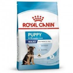 royal-canin-perros-puppy-maxi