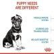 royal-canin-perros-puppy-maxi-02