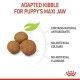 royal-canin-perros-puppy-maxi-croqueta