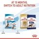 royal-canin-perros-puppy-maxi-04