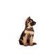 royal-canin-perros-puppy-maxi-sobrepouch-en-salsa-140-g-perro
