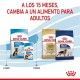 royal-canin-perros-puppy-maxi-sobrepouch-en-salsa-140-g-06