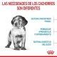 royal-canin-perros-puppy-medium-03
