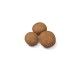 royal-canin-perros-puppy-medium-croqueta