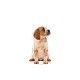 royal-canin-perros-puppy-medium-sobrepouch-en-salsa-140-g-perro