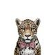 amanova-gato-sterilised-cat-salmon-fresco-low-grain-03