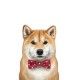 amanova-adult-obesity-pavo-fresco-low-grain-perro