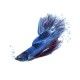 filtro-interno-ciano-cf20-betta