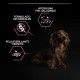 purina-pro-plan-sensitive-skin-salmon-small-mini-adult-beneficios-02