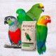 psittacus-minor-450-g-aves