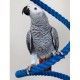 psittacus-high-energy-alta-energia-800-g