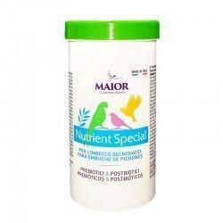 Papilla NUTRIENT SPECIAL Chemi Vit Cliffi