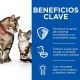 hills-feline-kitten-mother-mousse-suave-lata-85-g