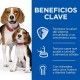 hills-canine-puppy-mother-mousse-suave-lata-200-g