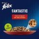 felix-fantastic-festin-en-gelatina-varios-sabores-sobrepouch-4x85-g-carne-02