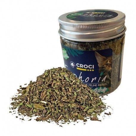 lata-de-hierba-gatera-catnip-euphoria-croci-25-g
