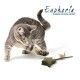 varita-de-hierba-gatera-y-silvervine-con-plumas-estrella-euphoria-croci