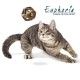 esfera-de-silvervine-con-bola-de-hierba-gatera-catnip-euphoria-croci-gato-02