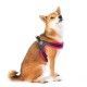 arnes-malla-tre-ponti-neon-varias-tallas-y-colores-perro
