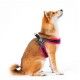 arnes-malla-tre-ponti-neon-varias-tallas-y-colores-perro-01