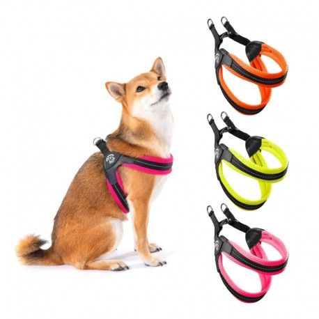 arnes-malla-tre-ponti-neon-varias-tallas-y-colores