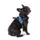arnes-camuflaje-tre-ponti-ajustable-varias-tallas-y-colores-perro-02