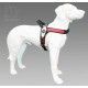 arnes-reflectante-tre-ponti-perros-medianos-y-grandes-varias-tallas-y-colores-rojo-y-plata-03