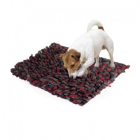 alfombra-olfativa-para-perros-y-gatos-genius-camon-50x60-cm