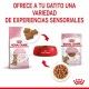 royal-canin-gatos-kitten-sterilised-pouch-en-salsa-85-g-variedad