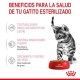 royal-canin-gatos-kitten-sterilised-pouch-en-salsa-85-g-beneficios