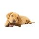 juguete-mordedor-nylabone-puppy-pollo-varios-tamanos-talla-m-perro