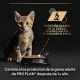 purina-pro-plan-gato-baby-kitten-mousse-lata-85-g-informacion-02
