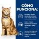 hills-feline-cd-urinary-care-multicare-sobre-con-pollo-prescription-diet-como-funciona