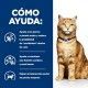 hills-feline-cd-urinary-care-multicare-sobre-con-pollo-prescription-diet-como-ayuda